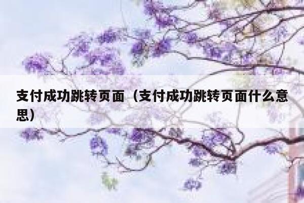 支付成功跳转页面（支付成功跳转页面什么意思） 第1张