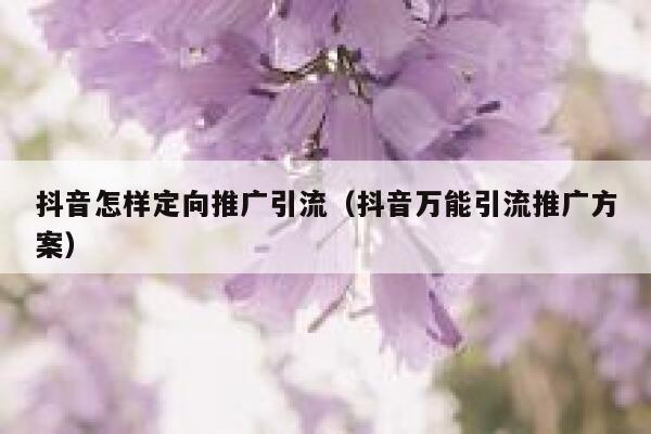 抖音怎样定向推广引流（抖音万能引流推广方案） 第1张