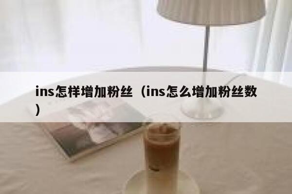 ins怎样增加粉丝（ins怎么增加粉丝数） 第1张