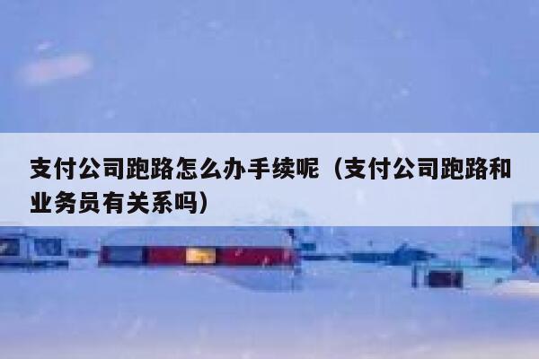 支付公司跑路怎么办手续呢（支付公司跑路和业务员有关系吗） 第1张