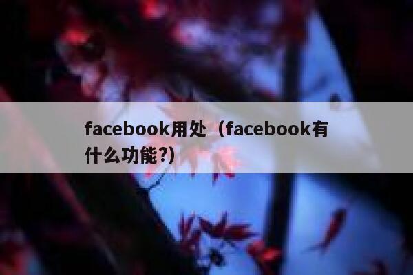 facebook用处（facebook有什么功能?） 第1张