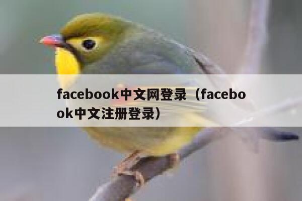 facebook中文网登录(facebook中文注册登录) 第1张 facebook中文网登录(facebook中文注册登录) 第1张