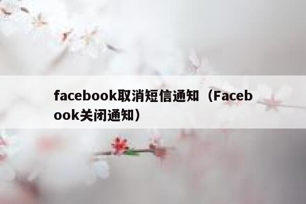 facebook取消短信通知（Facebook关闭通知） 第1张