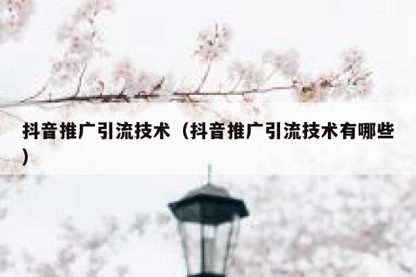 抖音推广引流技术（抖音推广引流技术有哪些） 第1张