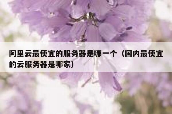 阿里云最便宜的服务器是哪一个（国内最便宜的云服务器是哪家） 第1张