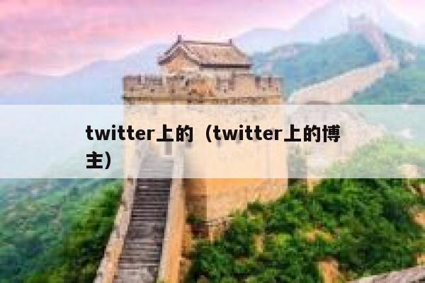 twitter上的（twitter上的博主） 第1张
