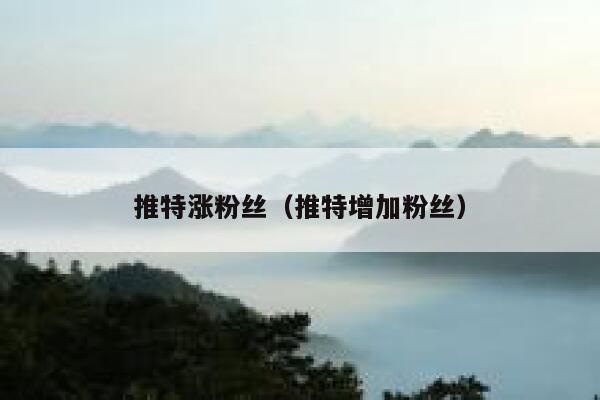 推特涨粉丝（推特增加粉丝） 第1张