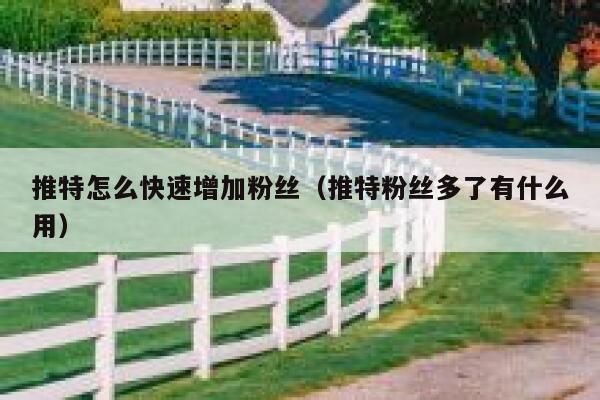 推特怎么快速增加粉丝(推特粉丝多了有什么用) 第1张 推特怎么快速增加粉丝(推特粉丝多了有什么用) 第1张