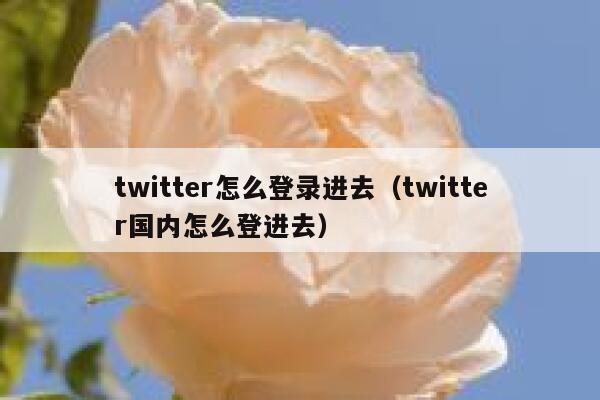 twitter怎么登录进去(twitter国内怎么登进去) 第1张 twitter怎么登录进去(twitter国内怎么登进去) 第1张