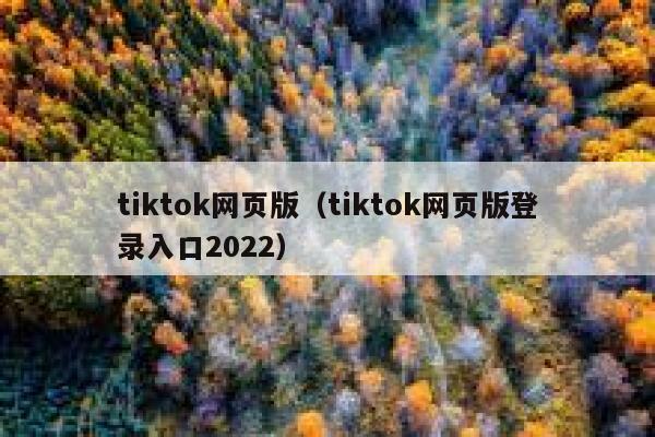 tiktok网页版（tiktok网页版登录入口2022） 第1张