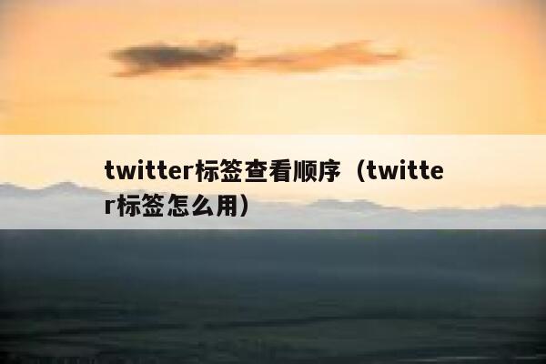 twitter标签查看顺序（twitter标签怎么用） 第1张