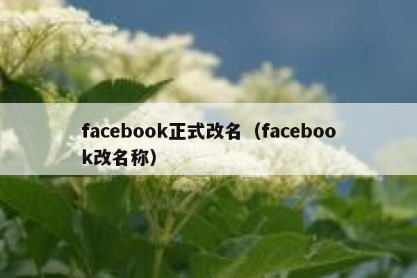 facebook正式改名(facebook改名称) 第1张 facebook正式改名(facebook改名称) 第1张