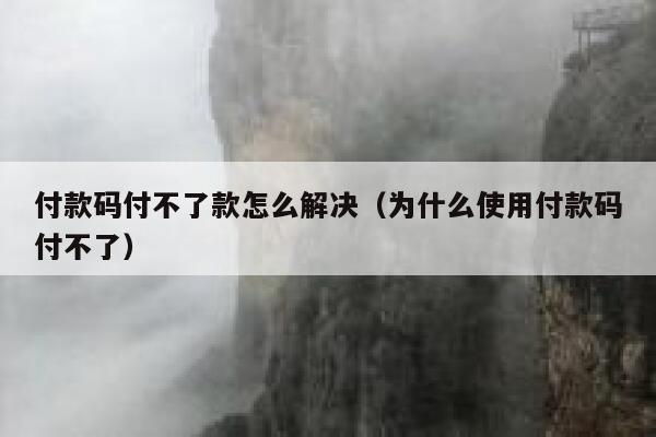 付款码付不了款怎么解决（为什么使用付款码付不了） 第1张