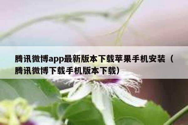 腾讯微博app最新版本下载苹果手机安装（腾讯微博下载手机版本下载） 第1张