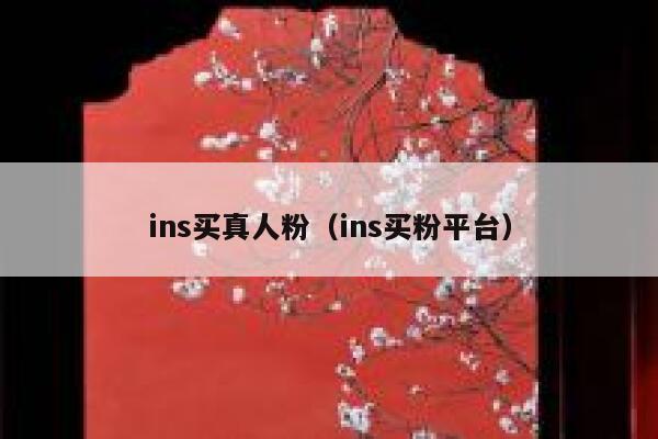 ins买真人粉(ins买粉平台) 第1张 ins买真人粉(ins买粉平台) 第1张