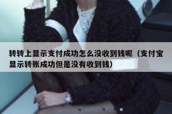 转转上显示支付成功怎么没收到钱呢（支付宝显示转账成功但是没有收到钱） 第1张
