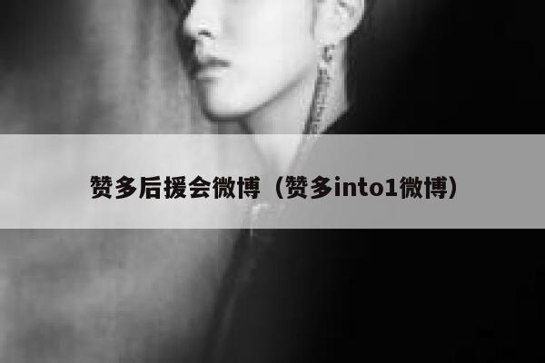 赞多后援会微博（赞多into1微博） 第1张