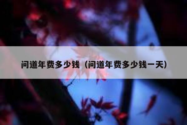 问道年费多少钱（问道年费多少钱一天） 第1张