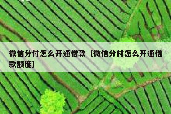 微信分付怎么开通借款（微信分付怎么开通借款额度） 第1张