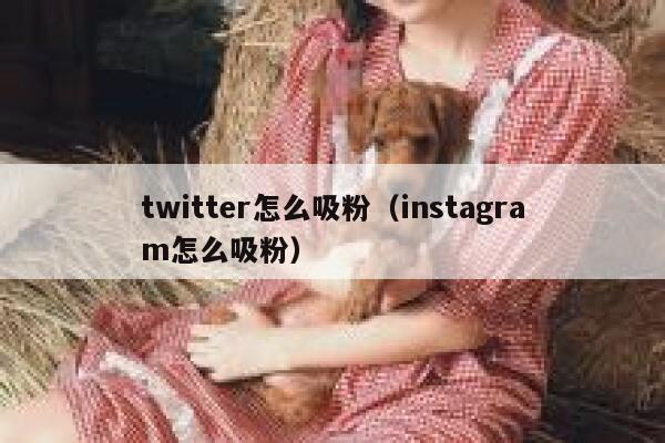 twitter怎么吸粉（instagram怎么吸粉） 第1张