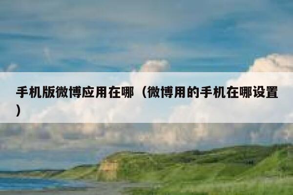手机版微博应用在哪（微博用的手机在哪设置） 第1张