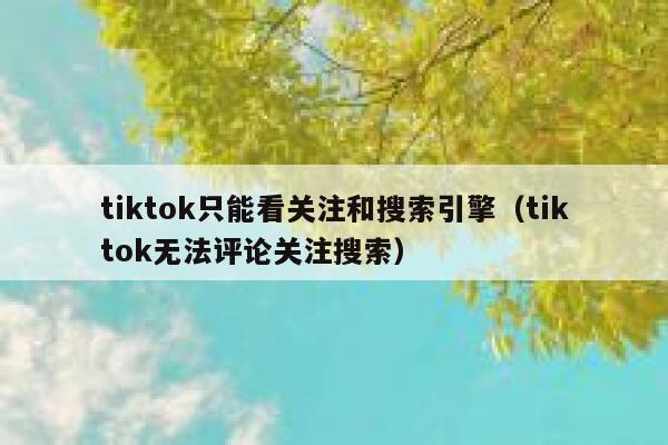 tiktok只能看关注和搜索引擎（tiktok无法评论关注搜索） 第1张