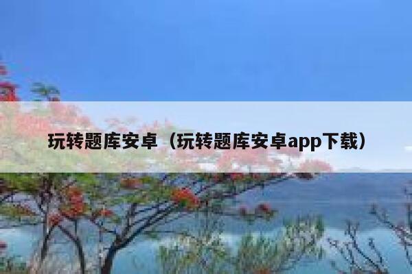 玩转题库安卓（玩转题库安卓app下载） 第1张