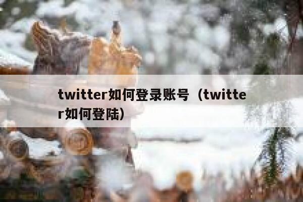 twitter如何登录账号（twitter如何登陆） 第1张