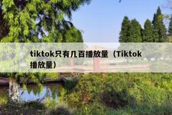 tiktok只有几百播放量（Tiktok播放量） 第1张