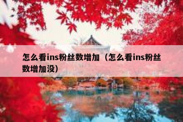 怎么看ins粉丝数增加（怎么看ins粉丝数增加没） 第1张