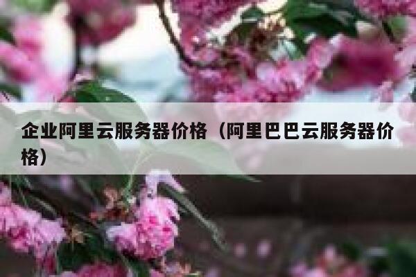 企业阿里云服务器价格（阿里巴巴云服务器价格） 第1张