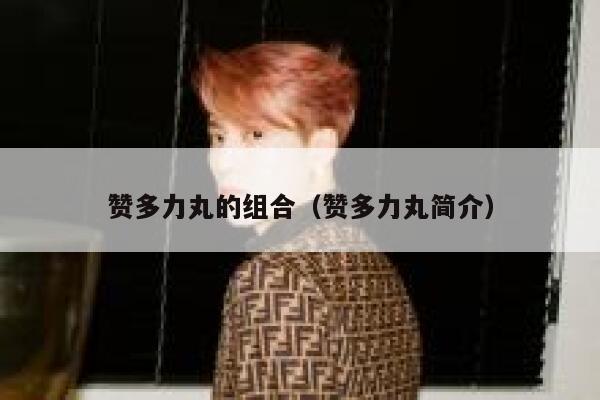 赞多力丸的组合(赞多力丸简介) 第1张 赞多力丸的组合(赞多力丸简介) 第1张