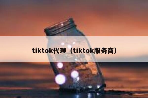 tiktok代理（tiktok服务商） 第1张