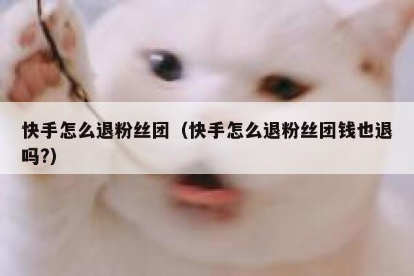 快手怎么退粉丝团（快手怎么退粉丝团钱也退吗?） 第1张
