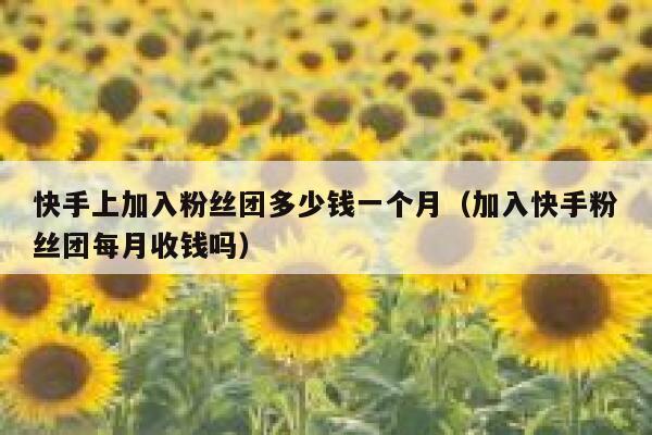 快手上加入粉丝团多少钱一个月（加入快手粉丝团每月收钱吗） 第1张