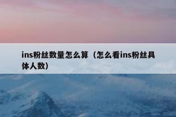 ins粉丝数量怎么算（怎么看ins粉丝具体人数） 第1张