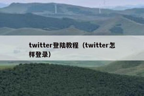 twitter登陆教程（twitter怎样登录） 第1张
