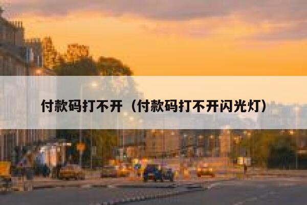 付款码打不开（付款码打不开闪光灯） 第1张