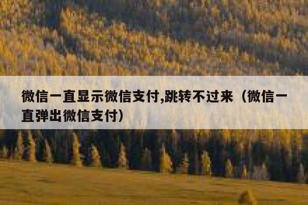 微信一直显示微信支付,跳转不过来（微信一直弹出微信支付） 第1张