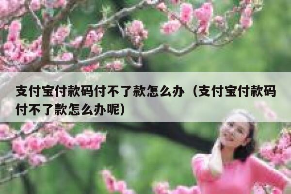 支付宝付款码付不了款怎么办（支付宝付款码付不了款怎么办呢） 第1张