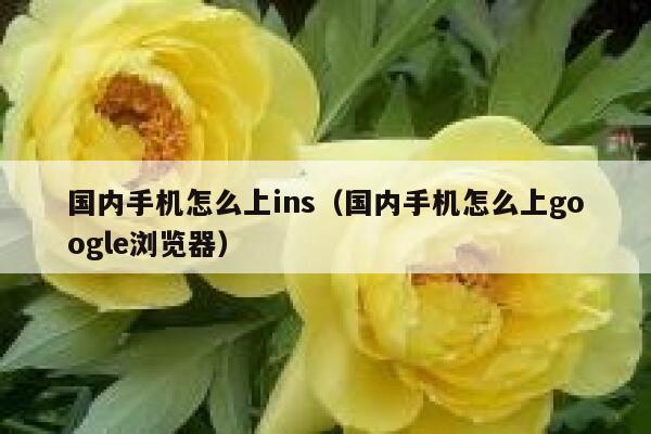 国内手机怎么上ins（国内手机怎么上google浏览器） 第1张