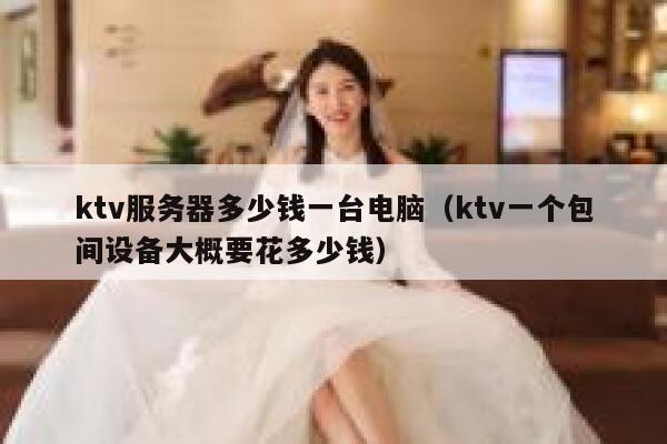 ktv服务器多少钱一台电脑（ktv一个包间设备大概要花多少钱） 第1张