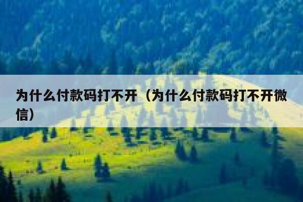 为什么付款码打不开（为什么付款码打不开微信） 第1张