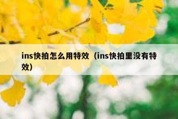 ins快拍怎么用特效(ins快拍里没有特效) 第1张 ins快拍怎么用特效(ins快拍里没有特效) 第1张