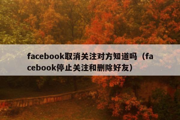facebook取消关注对方知道吗（facebook停止关注和删除好友） 第1张