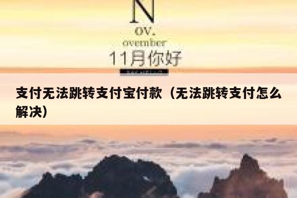 支付无法跳转支付宝付款（无法跳转支付怎么解决） 第1张