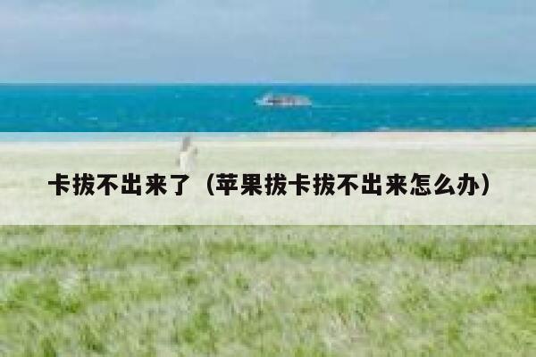 卡拔不出来了(苹果拔卡拔不出来怎么办) 第1张 卡拔不出来了(苹果拔卡拔不出来怎么办) 第1张