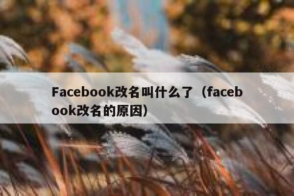 Facebook改名叫什么了（facebook改名的原因） 第1张