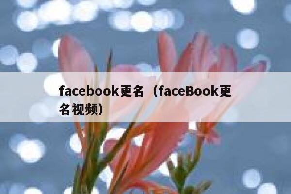 facebook更名（faceBook更名视频） 第1张