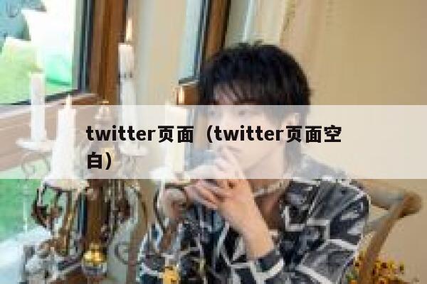 twitter页面（twitter页面空白） 第1张